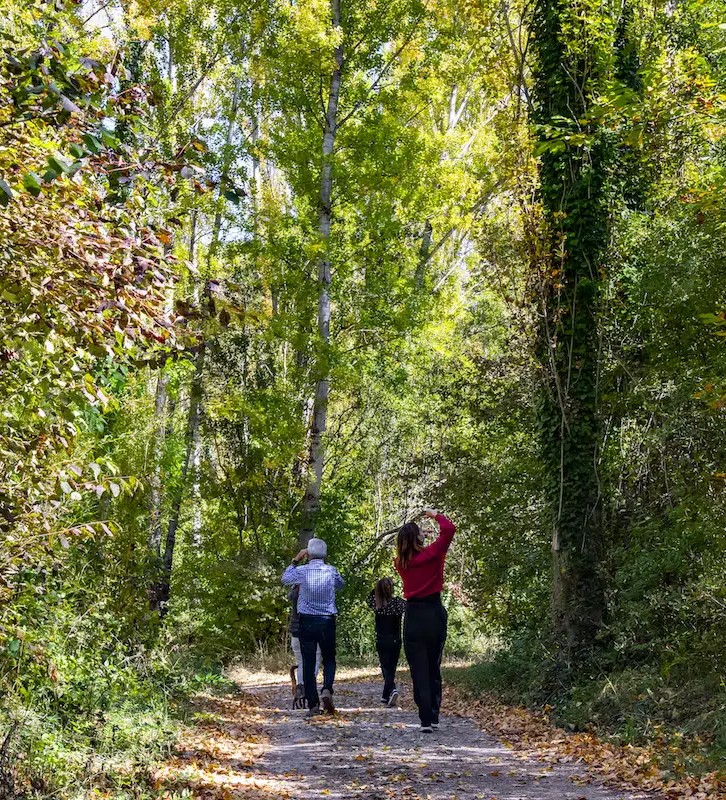 La-Casa-de-los-Moyas-Turismo-de-salud-en-teruel
